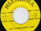 COUNTRY ROCKER / ROCKABILLY  BOB LEERS  HIAWATHA (HEAR)