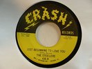TEFTELLER Northern The Steelers Crash 430 M- RARE Hear