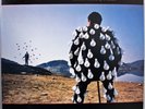 PINK FLOYD delicate sound of thunder 2X LP NEAR MINT