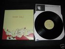VIVIAN GIRLS 1st LP Orig Mauled By Tigers Hozac wavves