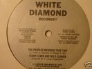 TERRY LEWIS & WILDFLOWER peoples message DISCO RAP 12