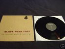 THE MOUNTAIN GOATS & KAKI KING BLACK PEAR TREE EP