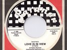 N.SOUL 45 - PROMO -DAVID NEVIN - PARDNER RECORDS
