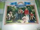 The Beach Boys - Sunflower - LP 1982