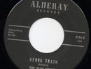 THE BLUE ECHOES Rebel Train Michigan InstrumentalLISTEN