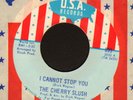 (Hear) 1968 Cherry Slush MI Garage (I Cannot Stop You)