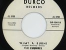 RARE ROCKIN INSTRO 45 THE ESQUIRES WITH PICTURE LISTEN