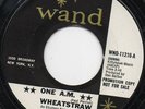 WHEATSTRAW 45  SUNSHINE POP PSYCH