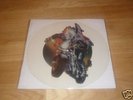 IRON MAIDEN  RARE DIFFERENT RELEASE UNCUT PICTURE DISC