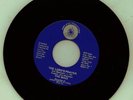 All Saved Freak Band Psych Folk Rock Xian Private 45RPM