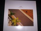 THE SEA AND CAKE---oui--LP-----------Versand 2,20€