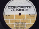 Winston Riley Concrete Jungle Dub RAAARE Dub LP Listen