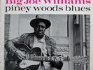 BIG JOE WILLIAMS Piney Woods Blues 77 Records 77LA12/19