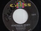 LISTEN NORTHERN POPCORN THE RADIANTS Heartbreak Society