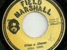 STILL COOL-WHAT A SHAME/STEVE BIKO-MILITANTS JA ISSUE