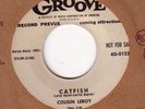 ROCKIN BLUES 45 COUSIN LEROY GOIN BACK HOME GROOVE 0123