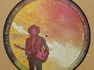 Jimi Hendrix, Woke Up This Morning..., Picture Disc LP