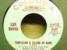 NORTHERN Lee David Temptation Is Calling My Name 45 NM