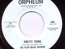 PLUM BEACH INCIDENT Pretty Thing UNCOMPED garage rock