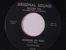 JAGUARS: Thinking Of You 45 rare Vocal Groups