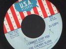 Cherry Slush - I cannot stop you Mod Garage Listen