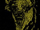 The Dead Weather I Cut Like A Buffalo Ltd Halloween Glo