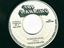 JACOB MILLER-FORWARD EVER-RARE-ROOTS REGGAE 45 7