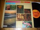 Mark Eric Midsummer's day dream LP psych fading yellow