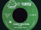 Rare Minnesota Psyche 45 by The Calico Wall on Turtle