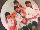 THE BEATLES YESTERDAY AND TODAY LP PICTURE DISC MINT