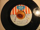 Cherry Slush - I Cannot Stop You 7