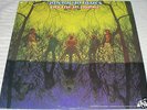 AMERICAN BLUES Do Their Thing Orig psych lp ZZ Top M-