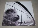 VS. Pearl Jam SAME VINYL RARITÄT SUPER ZUSTAND LP FOC