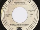 New York Pop Psych 45-Plum Beach Incident-Orpheum-Hear