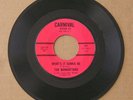 1965 THE MANHATTANS 7” 45 Carnival Soul Mint LISTEN