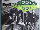 SEEDS SKY SAXON PUSHIN' TOO HARD NEAR MINT ORIG '67 LP