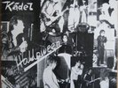 Terveet Kädet - Halloween / Rock o Rama / rotes Vinyl