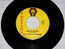 TEXAS GARAGE BAND THE PLAYBOYS OF EDINBURG ON PHARAOH