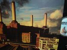Pink Floyd                    - Animals -   TOP ZUSTAND