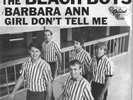 BEACH BOYS BARBARA ANN 45 & PIC.SLEEVE BOTH MINT MINUS