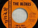 BLOKES RHYTHM AND BLUES WASP JANGLY GARAGE 7