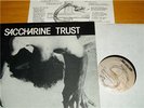SACCHARINE TRUST Paganicons LP Punk HC KBD BLACK FLAG