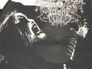 DROWNING THE LIGHT-the serpents reign-LP-PIC.DISC