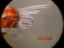 Böhse Onkelz Picture LP 