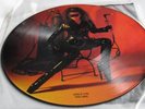THE CRAMPS FLAME JOB LP  PICTURE DISC See it