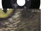 PEARL JAM Off He Goes Rare 7