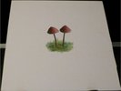 Mark Farina Mushroom Jazz 2 House OM