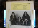 WILDFANG Cross The Rubicon Garage Punk LP test Pressing