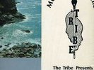Detroit Afro,Jazz,Funk,Soul LP-Message From The Tribe