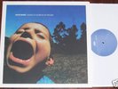 HAVE HEART-Songs To Scream./WHITE LP 1st PRESS/CHAMPION